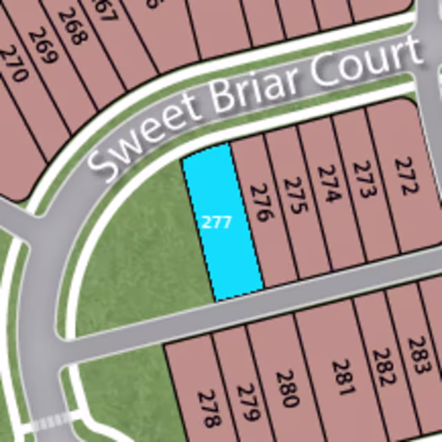 Lot 277 preview