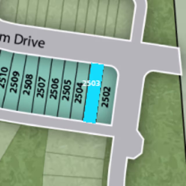 Lot 2503 preview