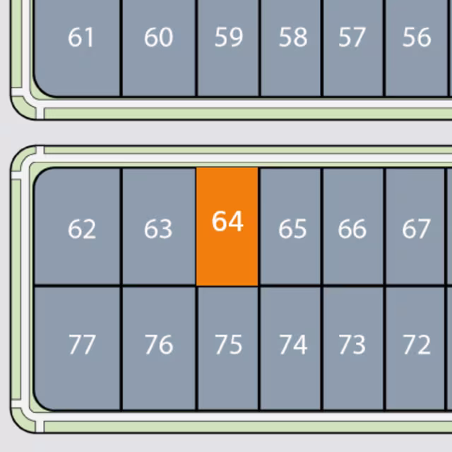 Lot 64 preview