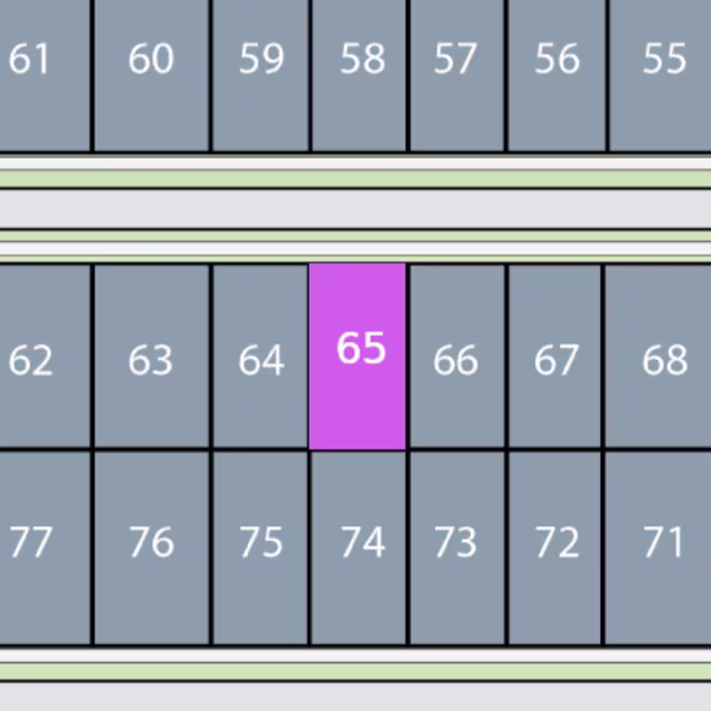 Lot 65 preview