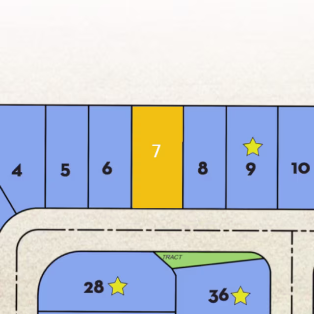 Lot 7 preview