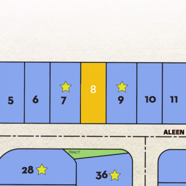 Lot 8 preview