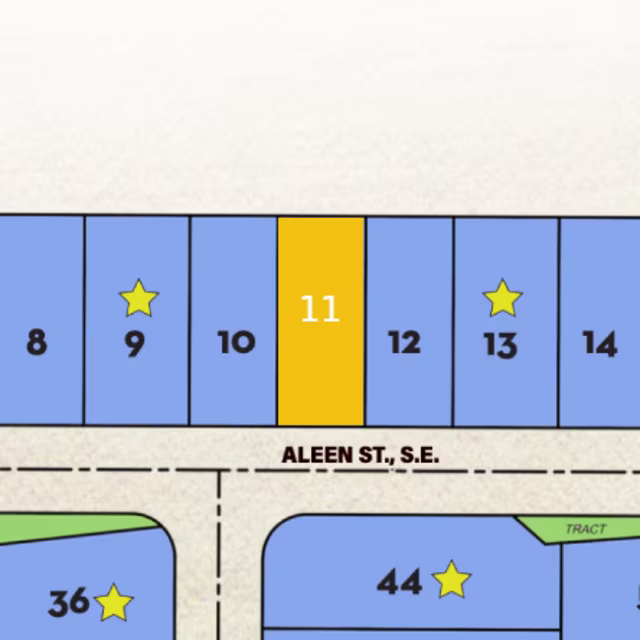 Lot 11 preview