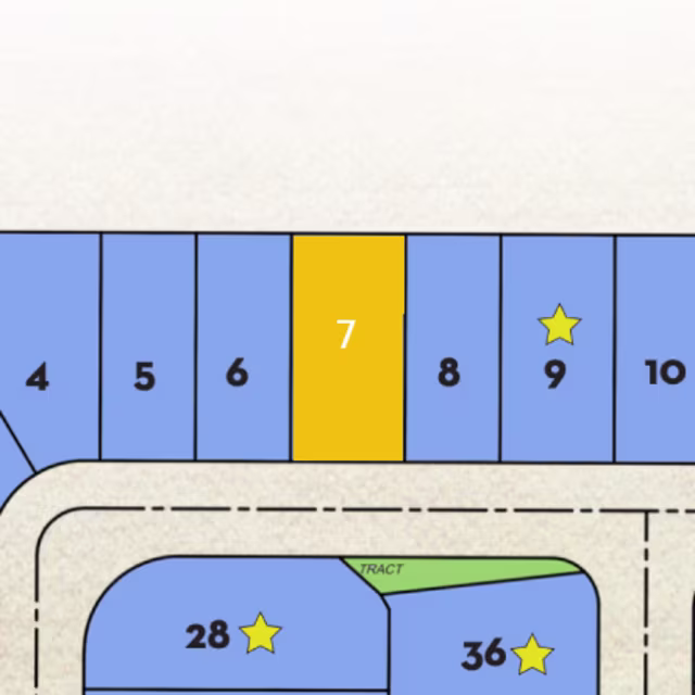 Lot 7 preview