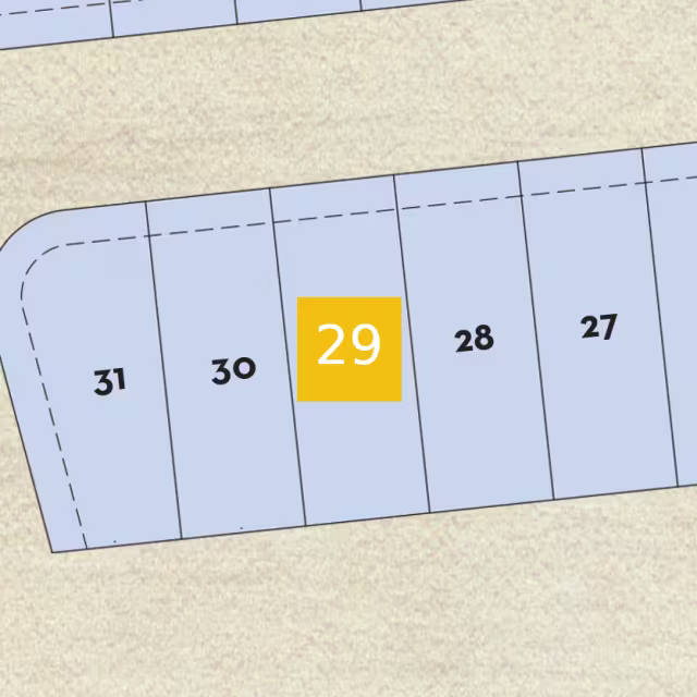 Lot 29 preview