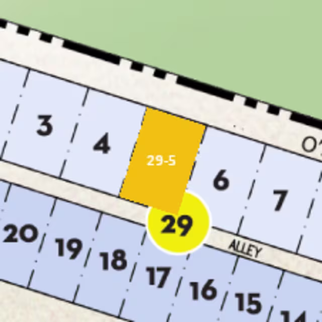 Lot 29-5 preview