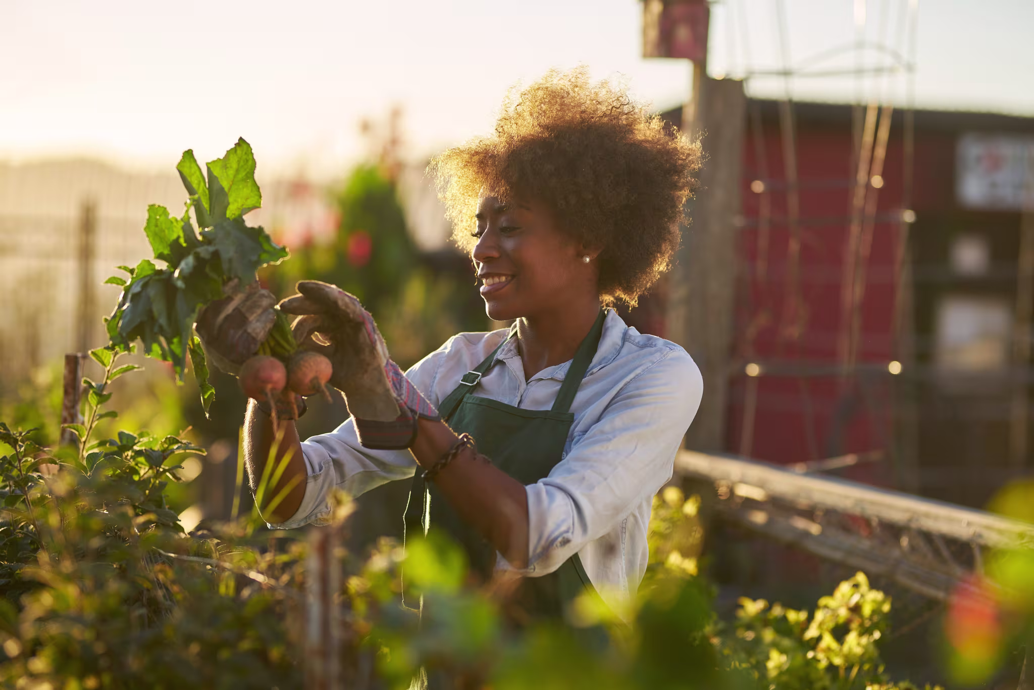 Community Garden