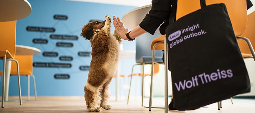 Wolf Theiss Rechtsanwälte GmbH & Co KG Titelbild