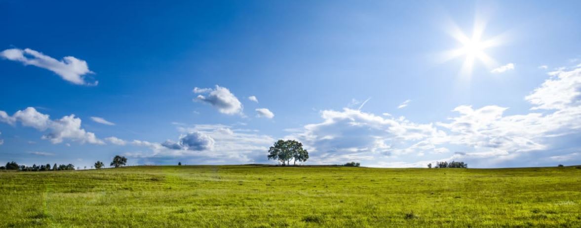 Beitrags Bild: Contributions of Real Property to Partnerships