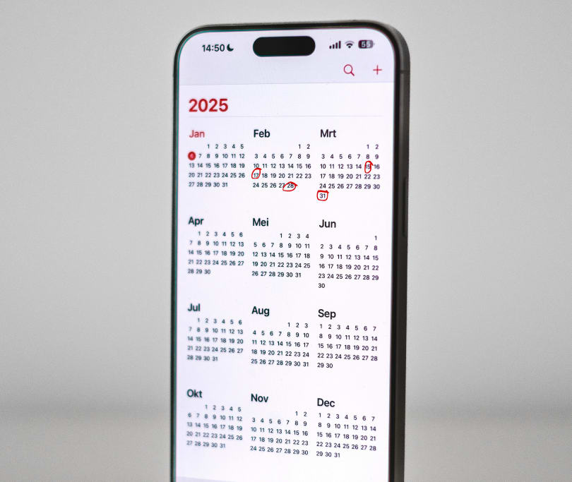 Beitrags Bild: TERMINE FEBRUAR UND MÄRZ 2025