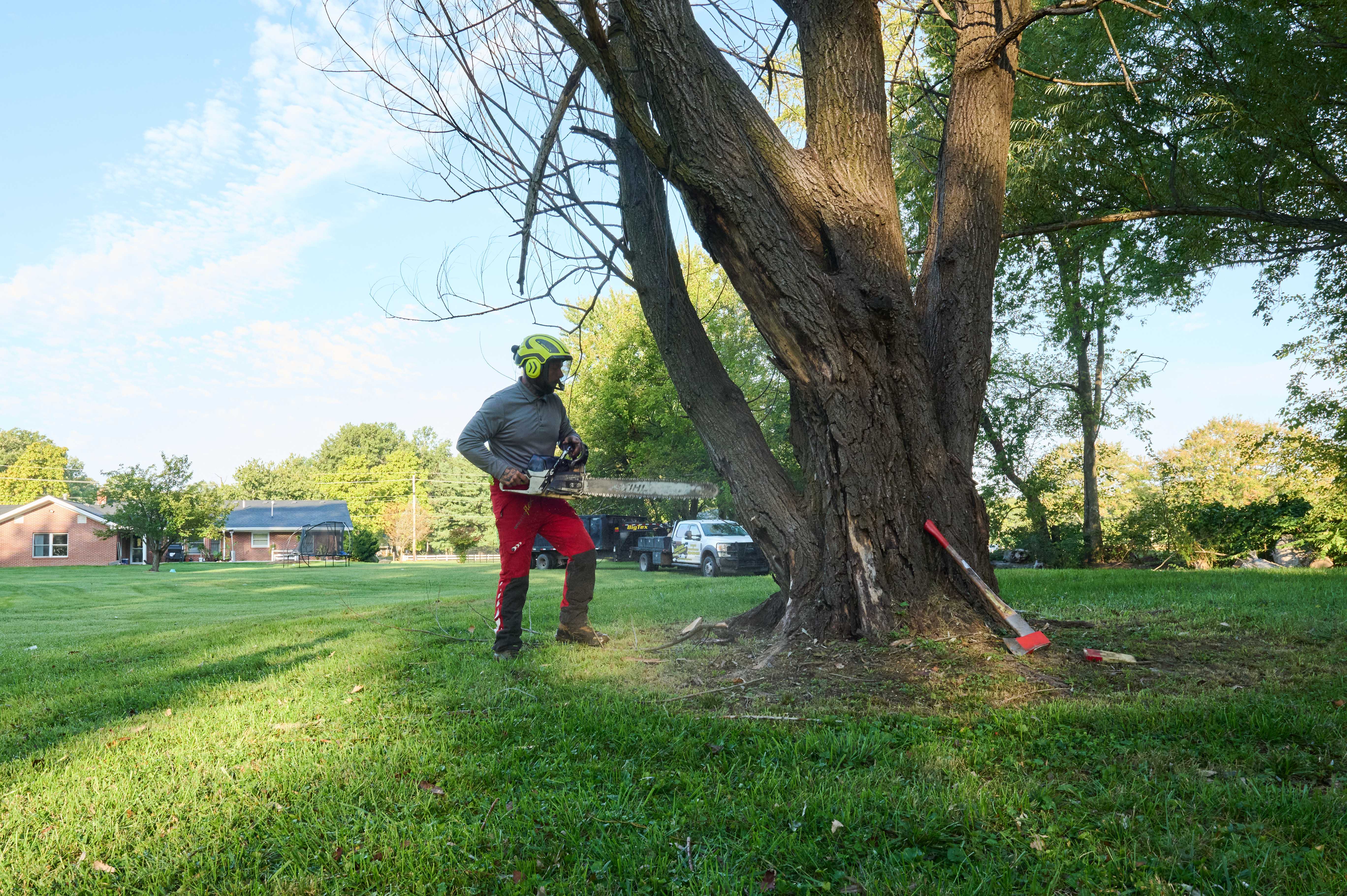 Worker in helmet and red safety pants holds a chainsaw while preparing to cut a leaning tree in a residential yard.