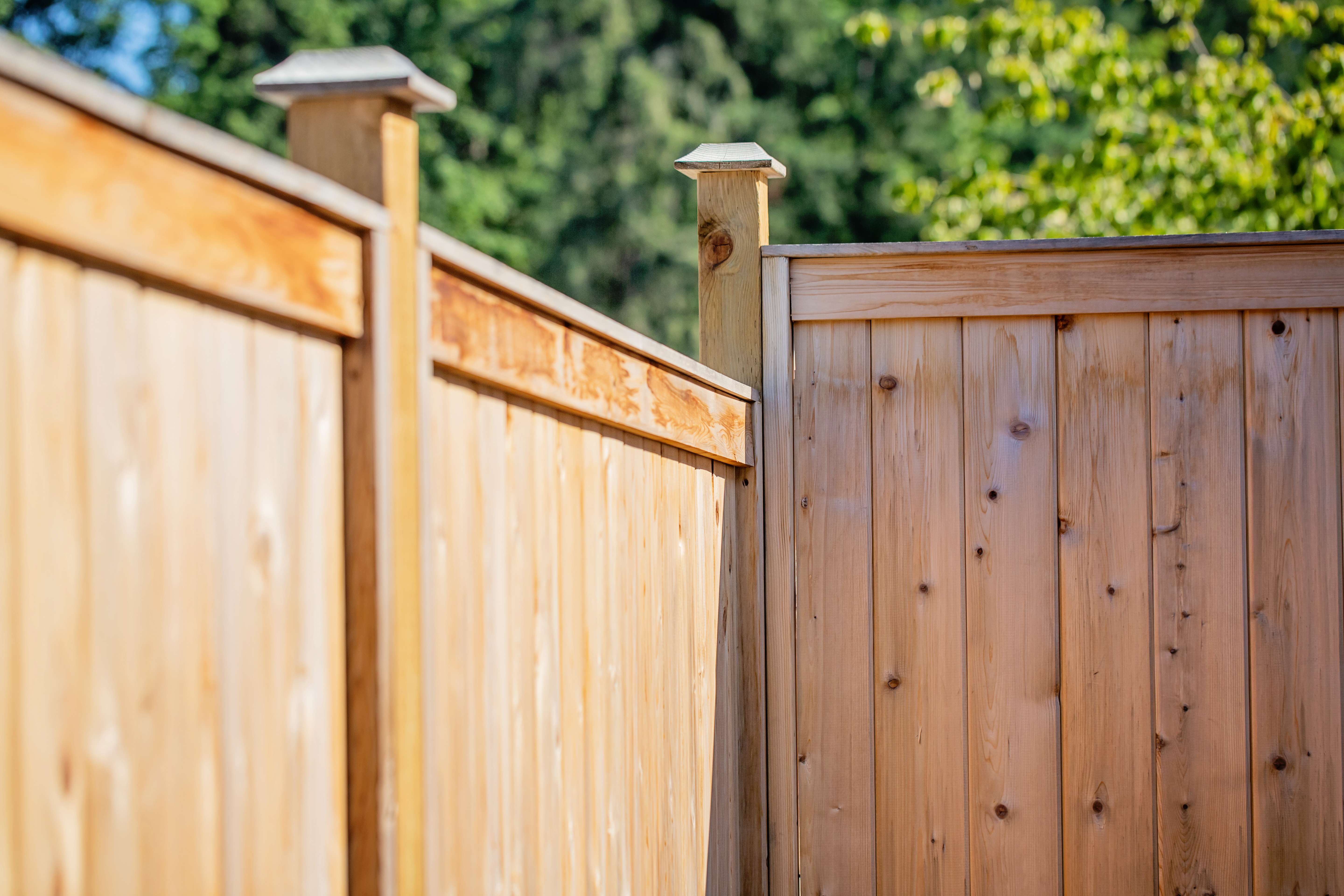Close-up of a newly installed, untreated wood fence with vertical planks, showcasing craftsmanship in wood fence installation