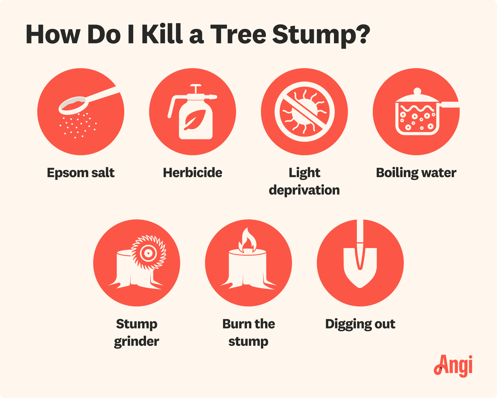 7 ways to kill a tree stump, including stump grinder, epsom salt, burning the stump, and herbicide