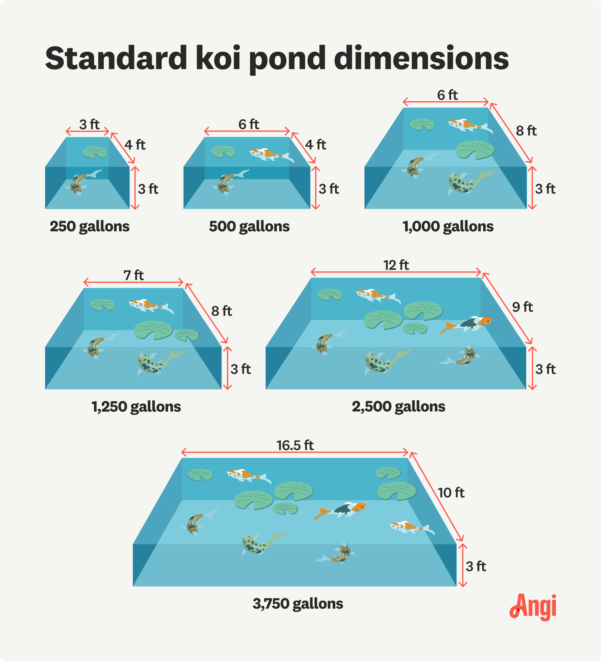 6 koi pond standard dimensions illustrated and compared, including 250 gallons, 1,250 gallons, and 3,750 gallons