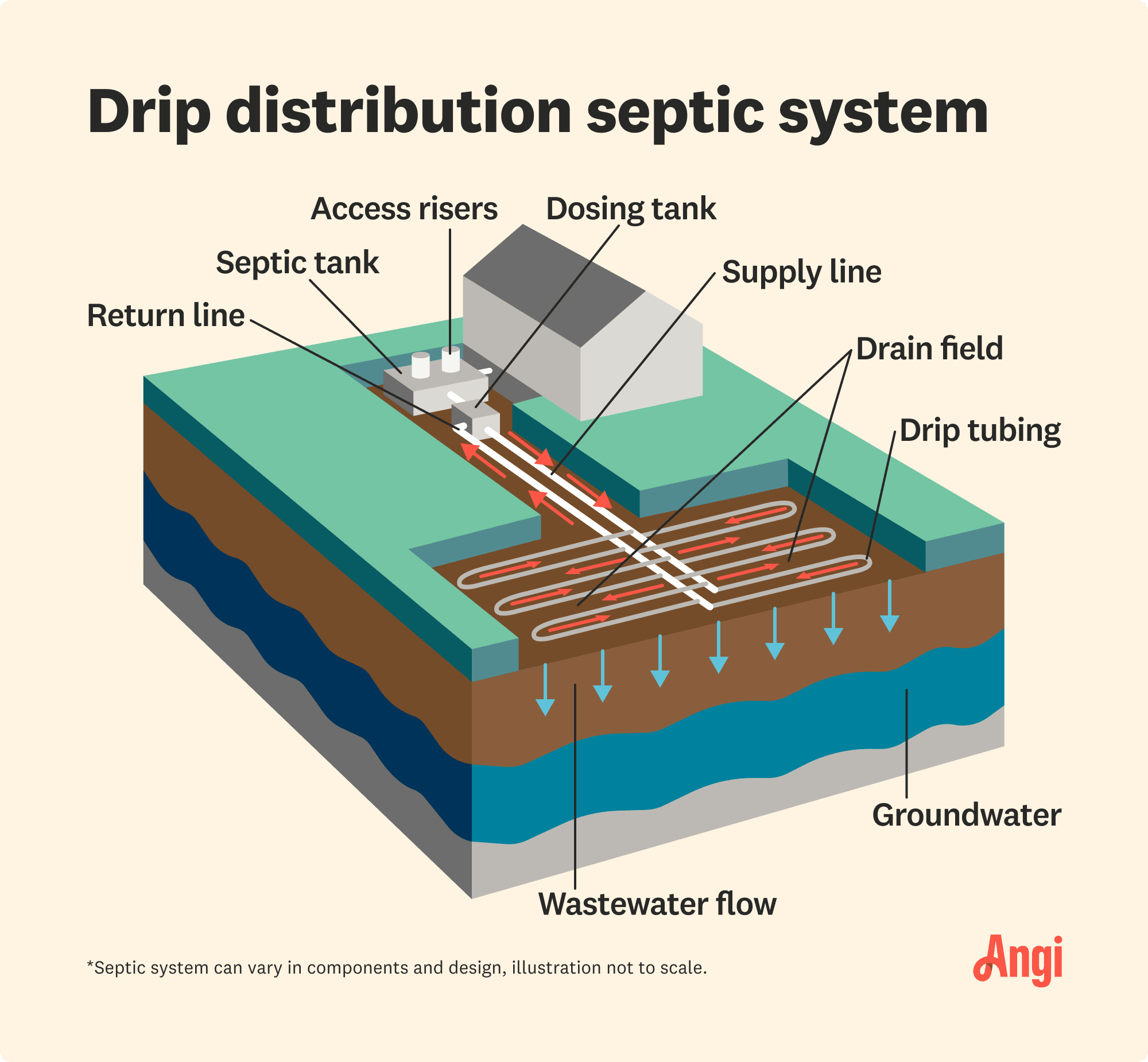Drip distribution septic system illustrated, including the drainfield, dosing tank, and drip tubing