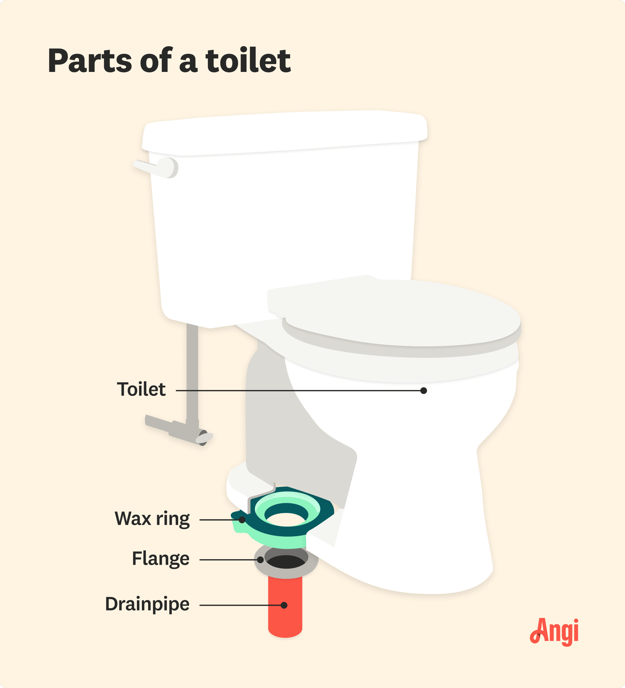 4 toilet parts illustrated, including the flange and wax ring