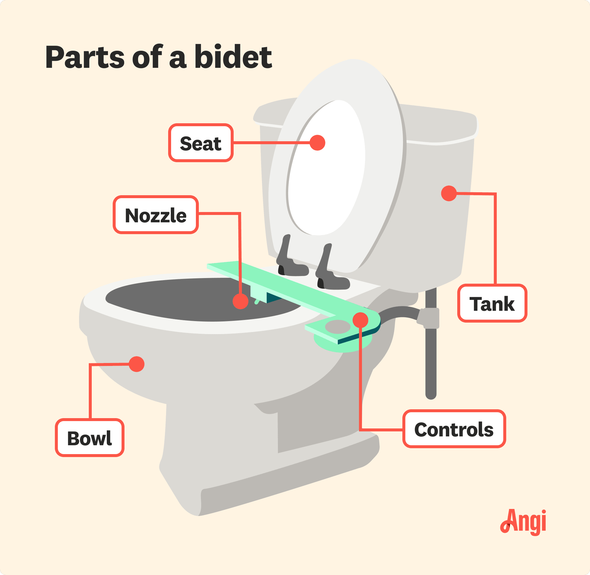 Bidet parts illustrated, including the tank, nozzle, and controls