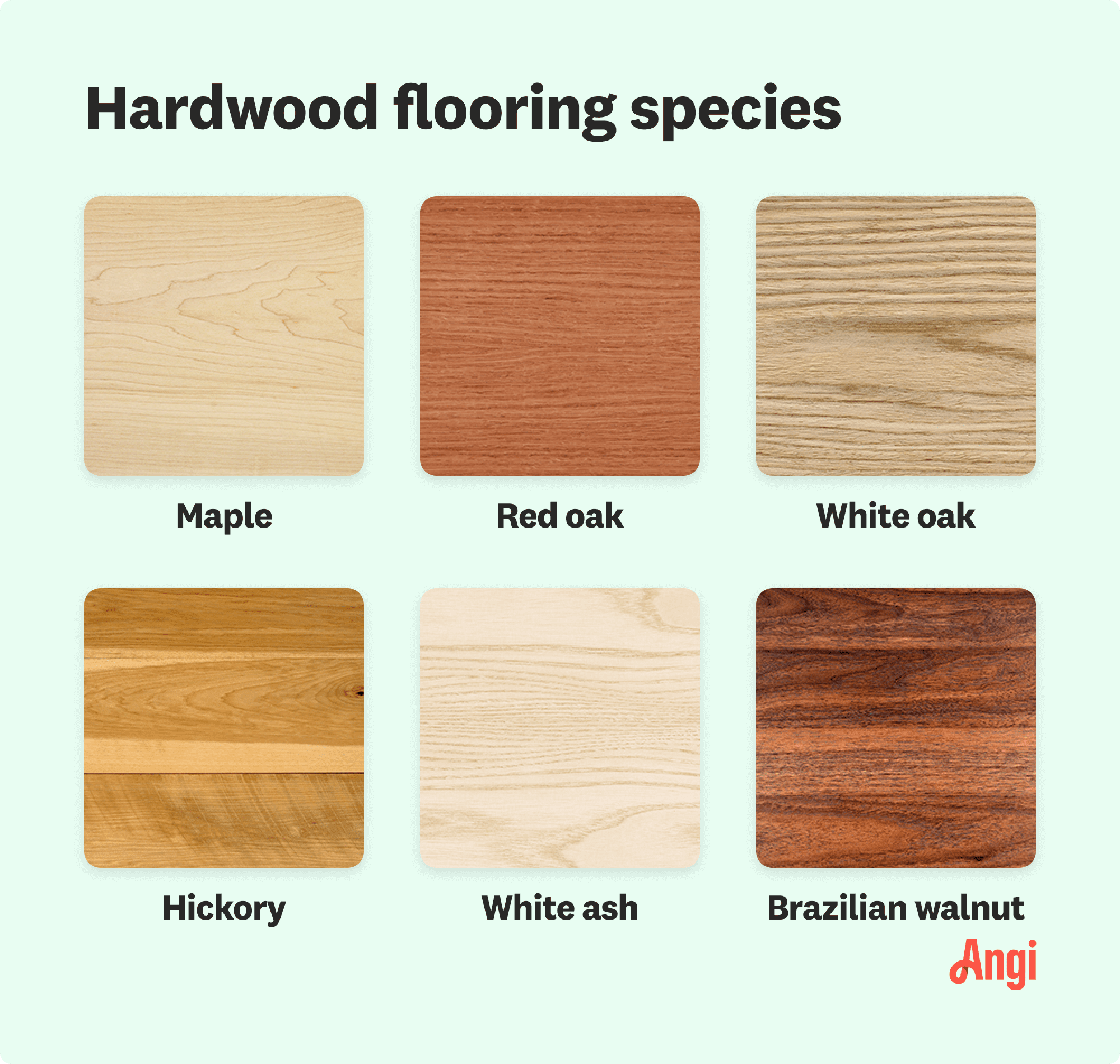 6 hardwood flooring species compared visually, including red oak, hickory, and white ash