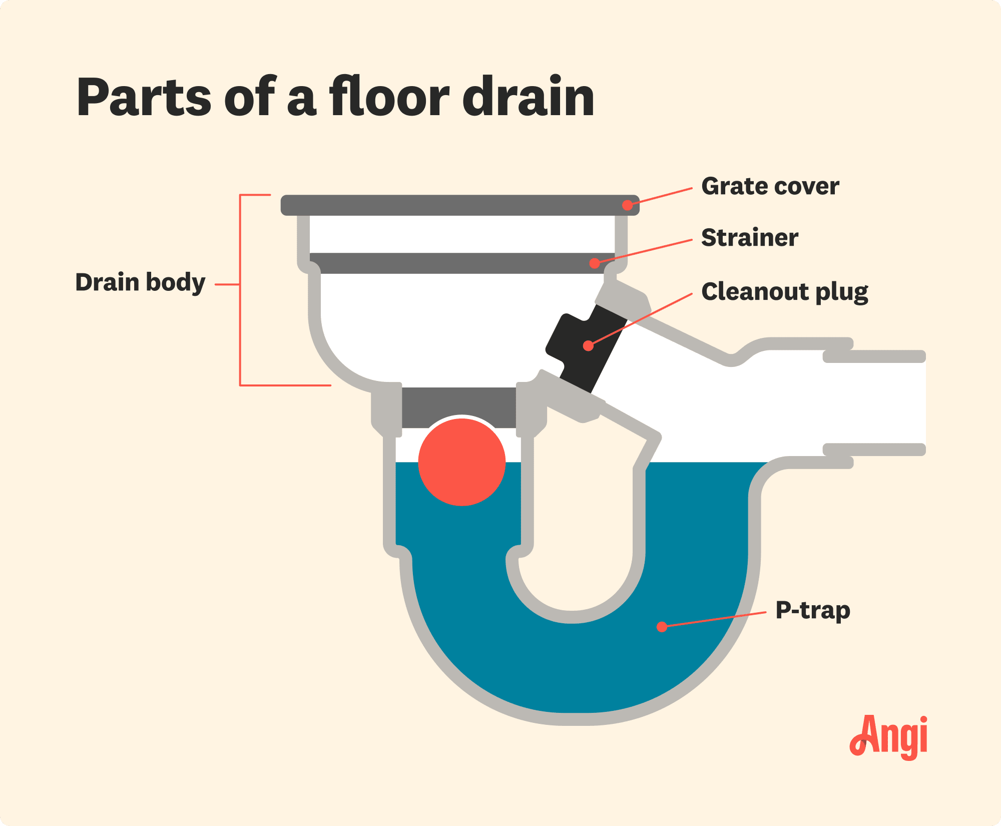5 floor drain parts illustrated, including the grate cover, strainer, and cleanout plug