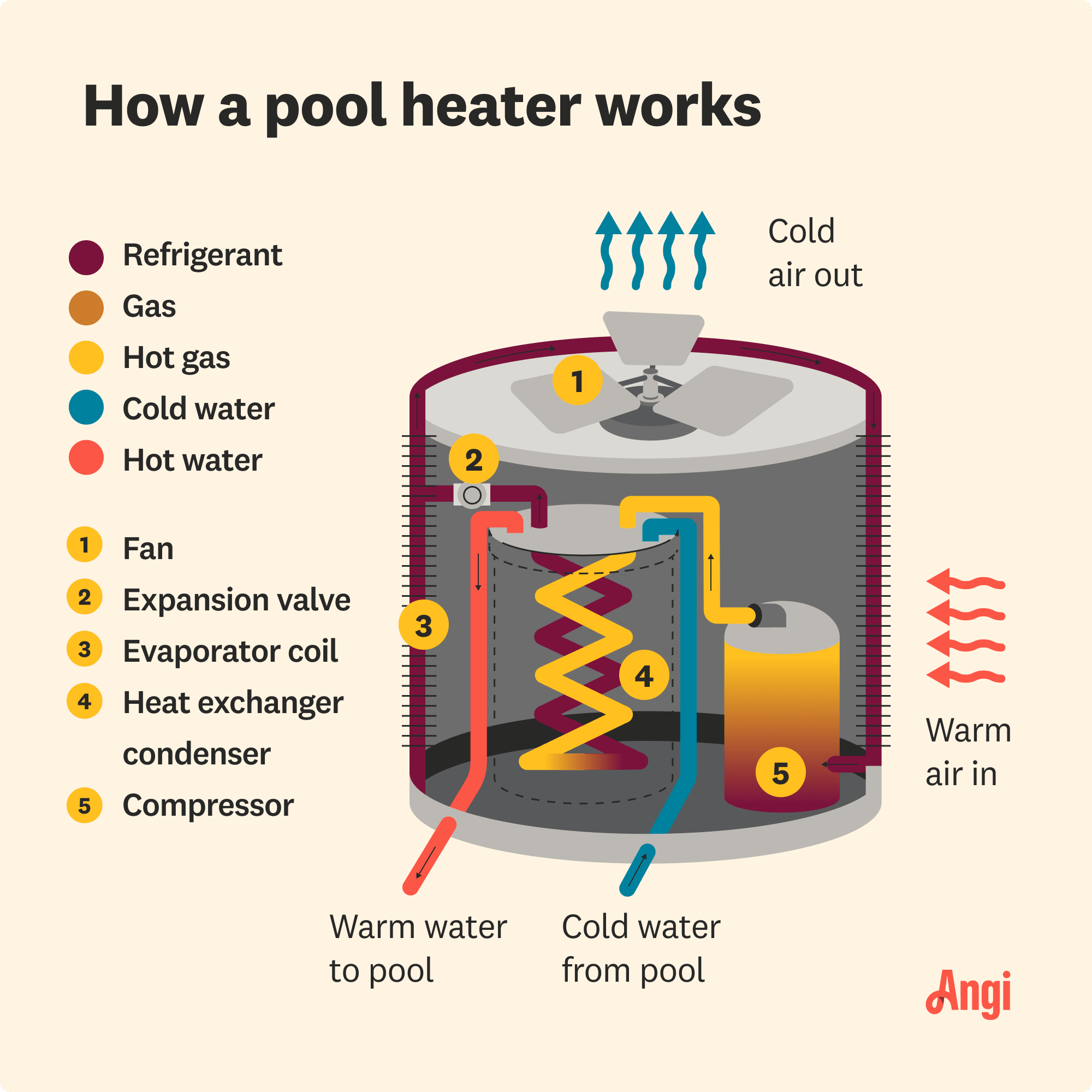 How a pool heater works illustrated, including the fan, evaporator coil, and compressor