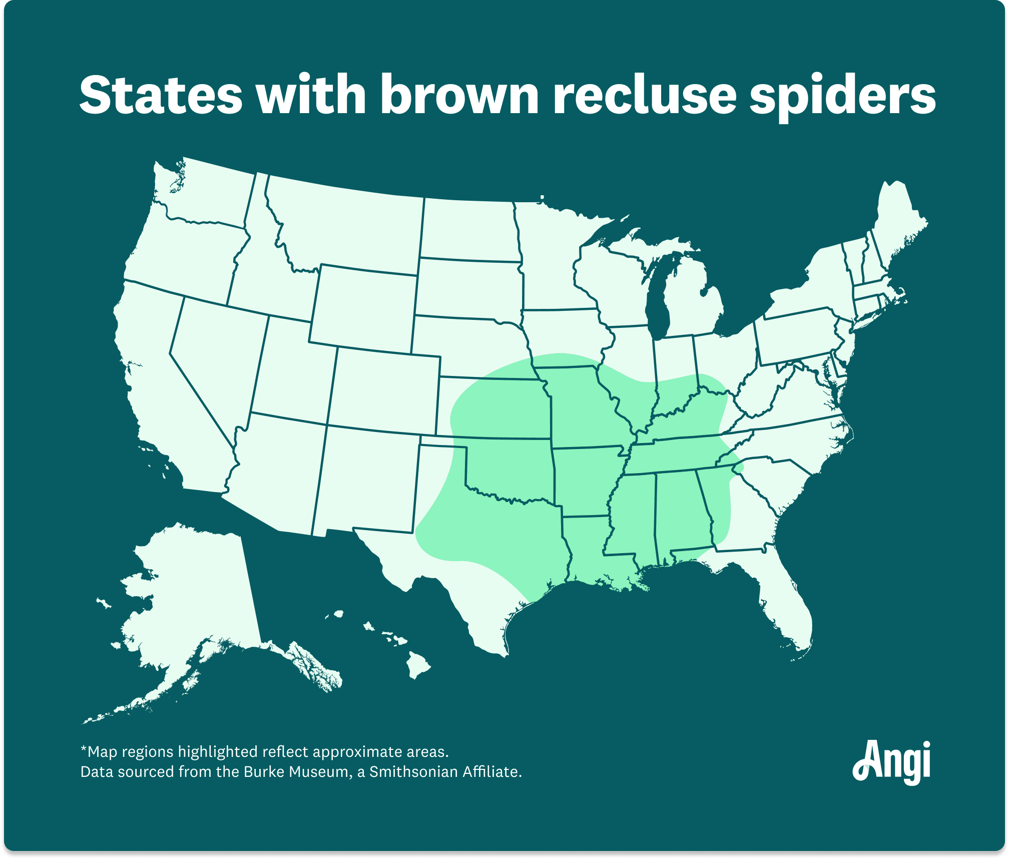 States with brown recluse spiders, including Arkansas, Indiana, and Nebraska
