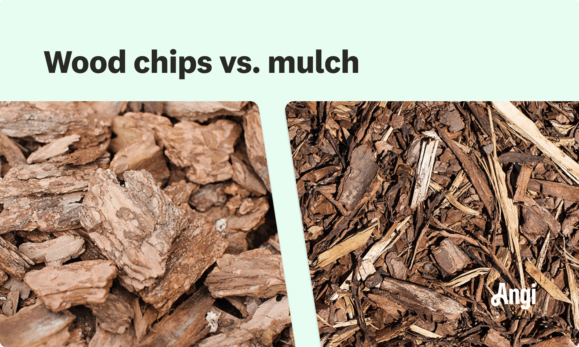 Wood chips versus mulch compared visually