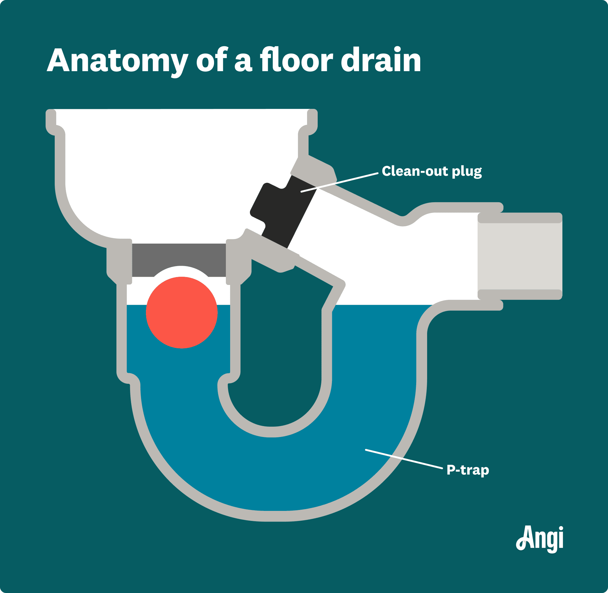 Anatomy of a floor drain illustrated, including the clean-out plug and P-trap
