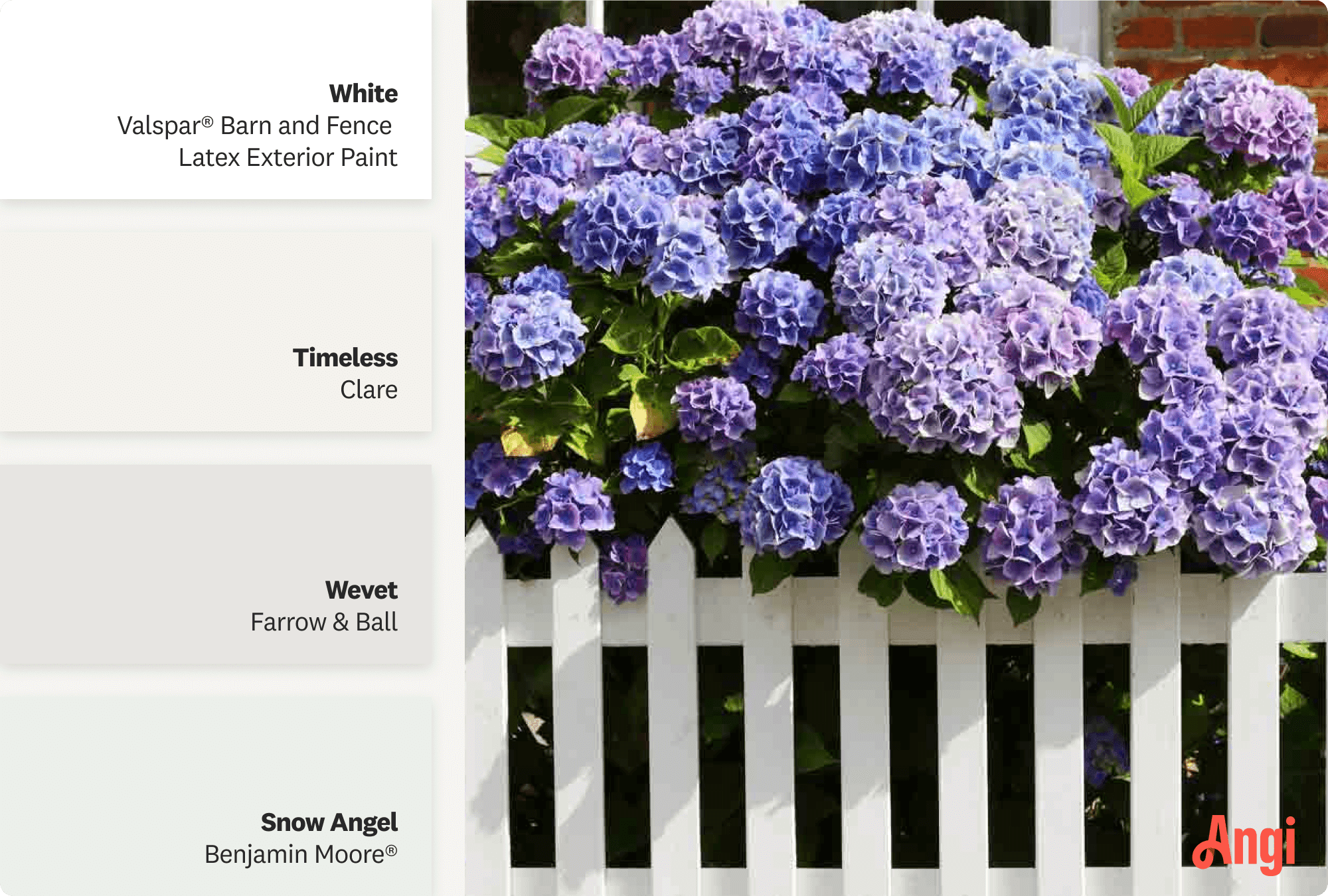 White wooden fence with hydrangea plant, including different tones of white paint