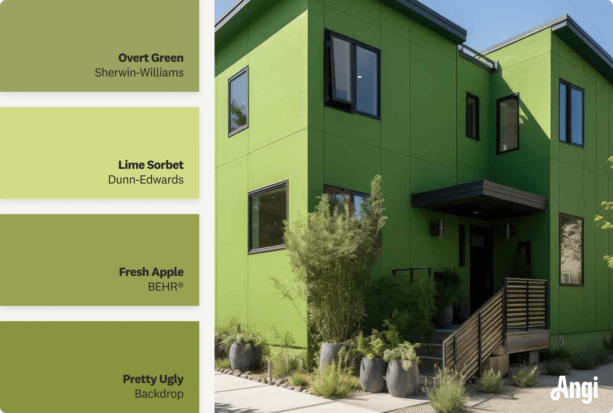 Vibrant cactus green home, including different tones of cactus green paint