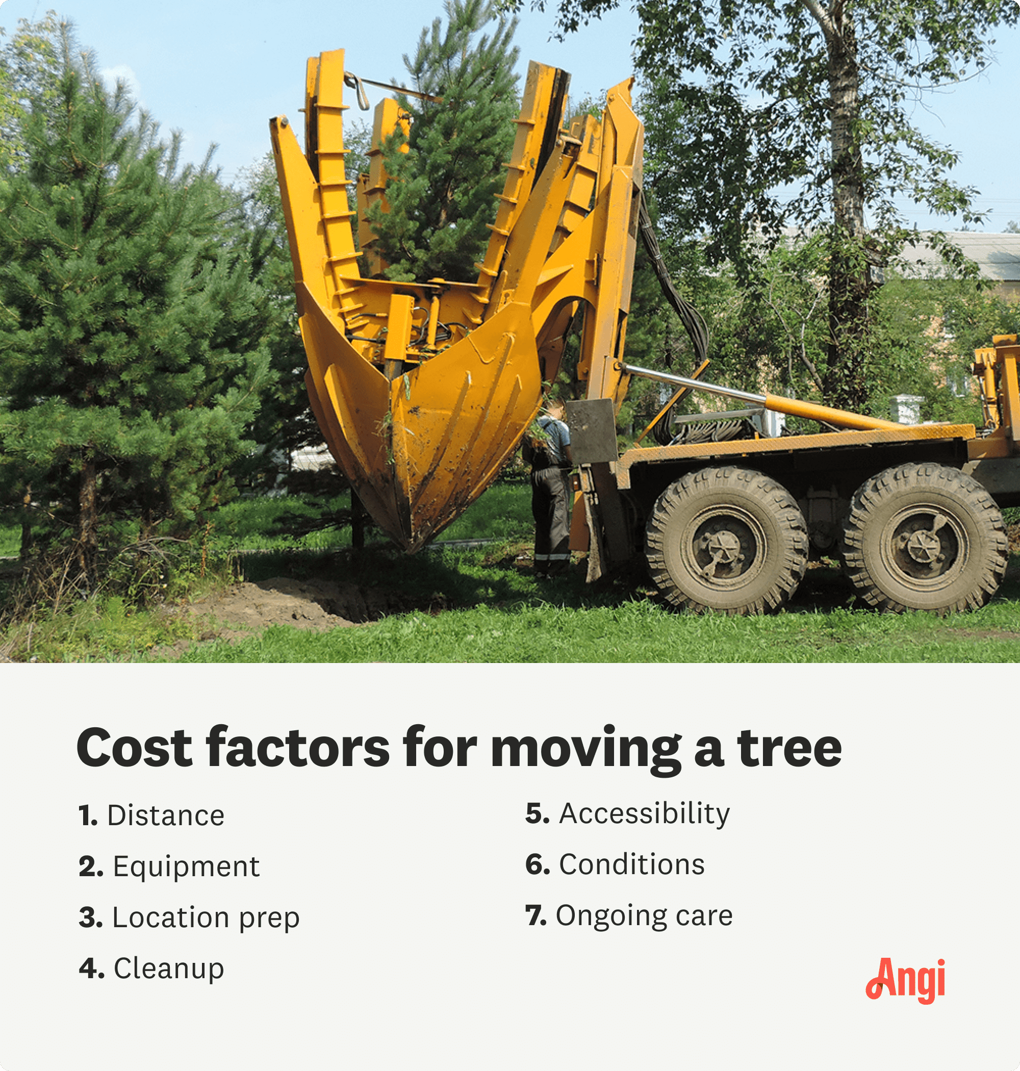 7 cost factors for moving a tree, including distance, equipment, accessibility, and ongoing tree care