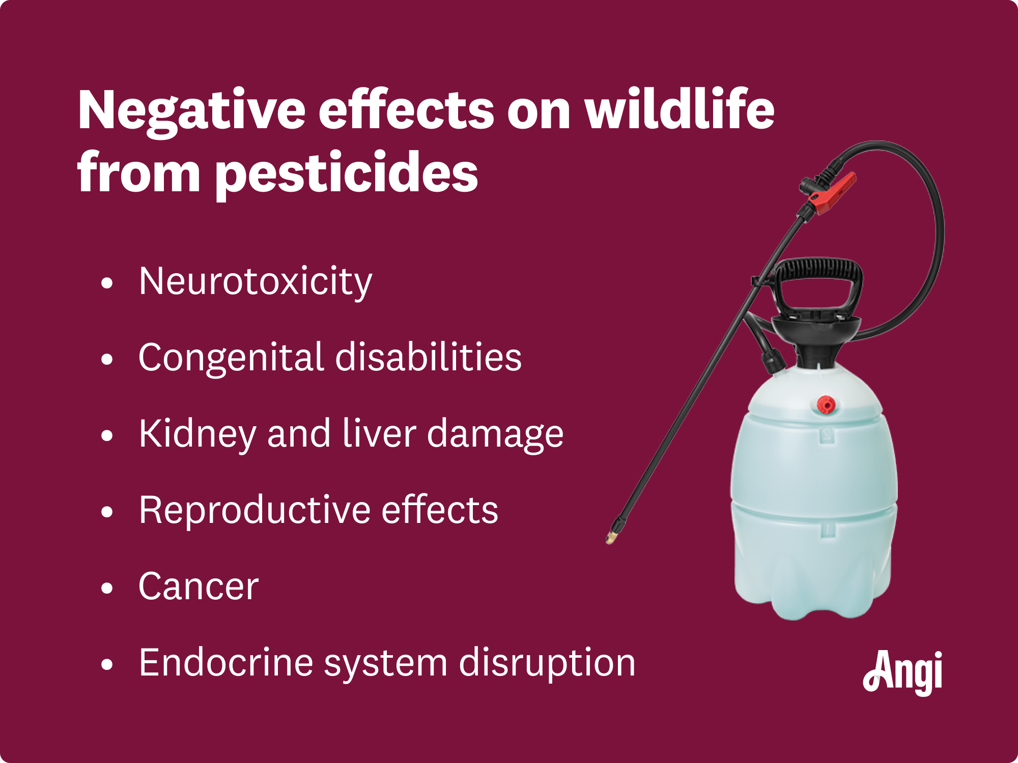 6 negative effects on wildlife from pesticides, including congenital disabilities, reproductive effects, and cancer