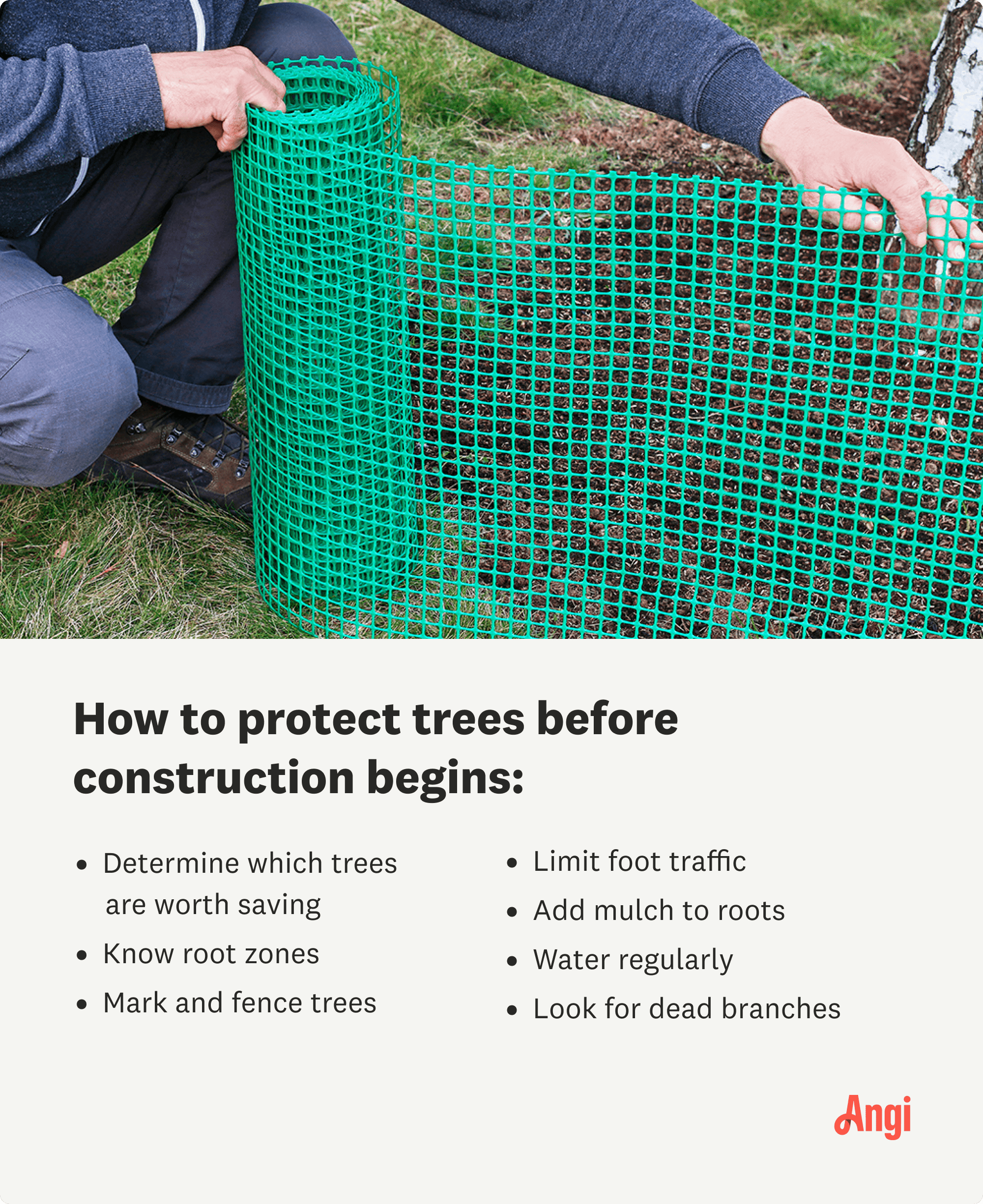 7 ways to protect your trees before construction begins, including knowing the root zones and marking and fencing trees
