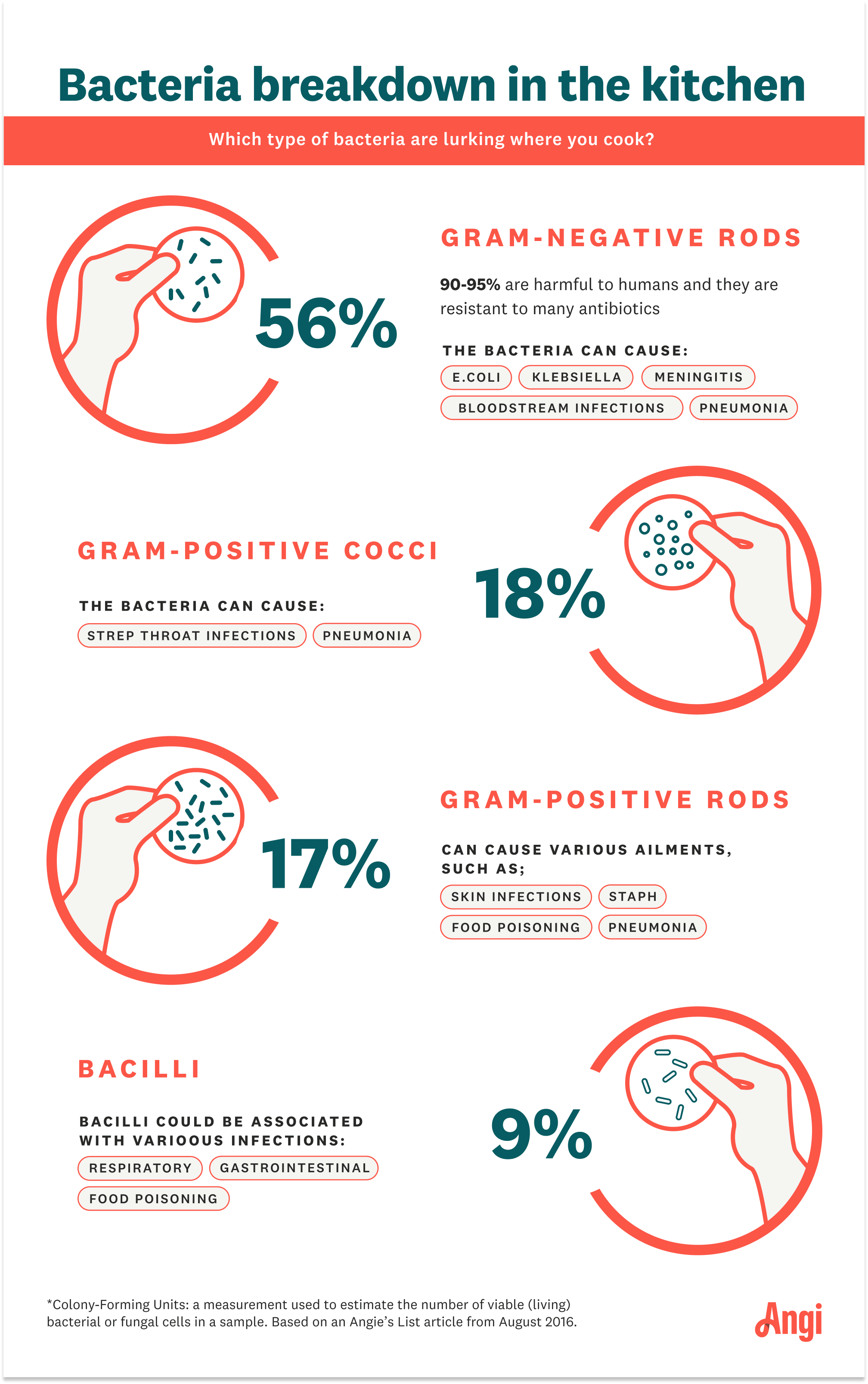 5 types of bacteria found in the kitchen and what health concerns they cause, including gram-negative rods, gram-positive cocci, and bacilli