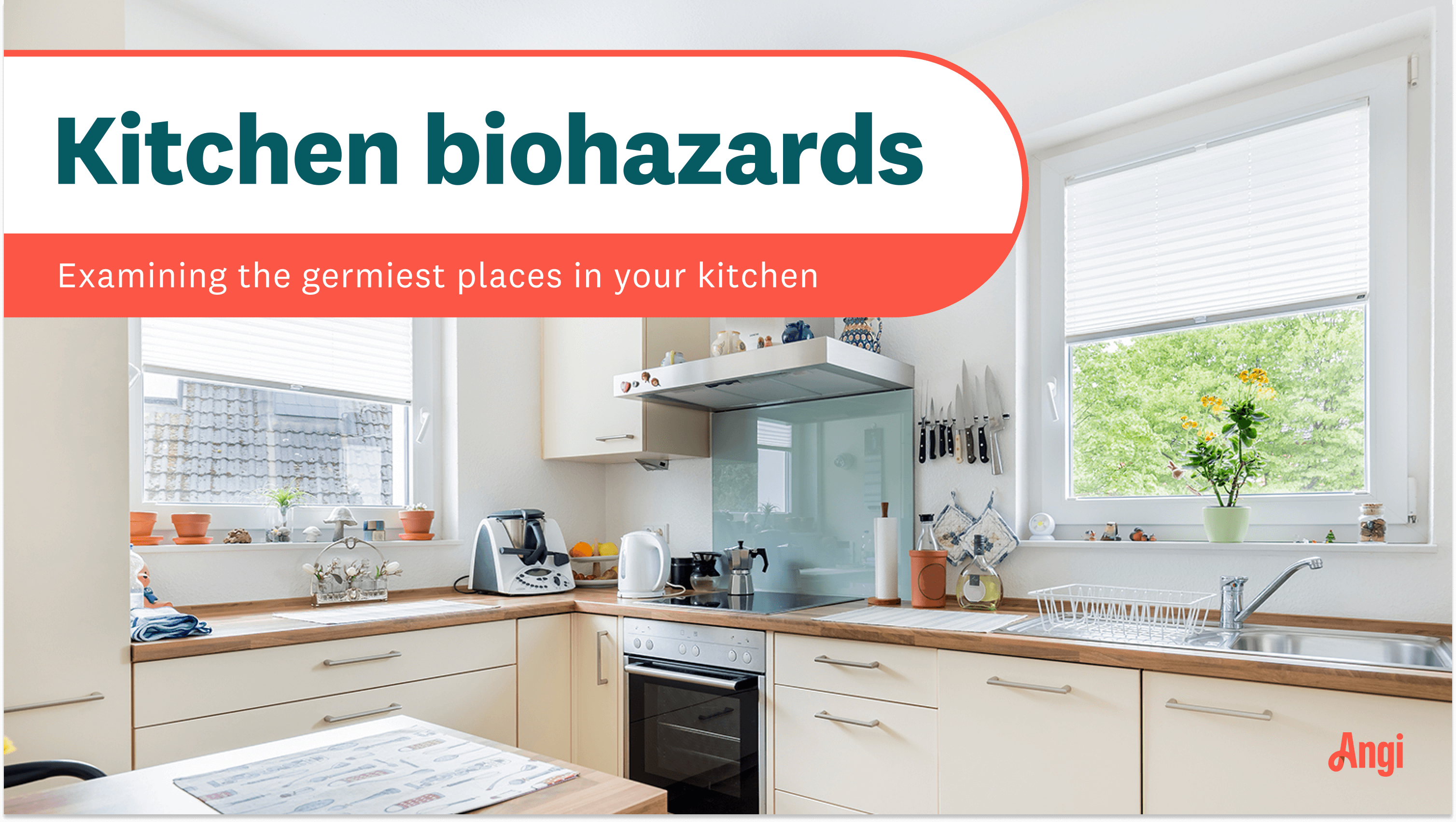 Kitchen biohazards, examining the germiest places in your kitchen, with a photo of an average kitchen