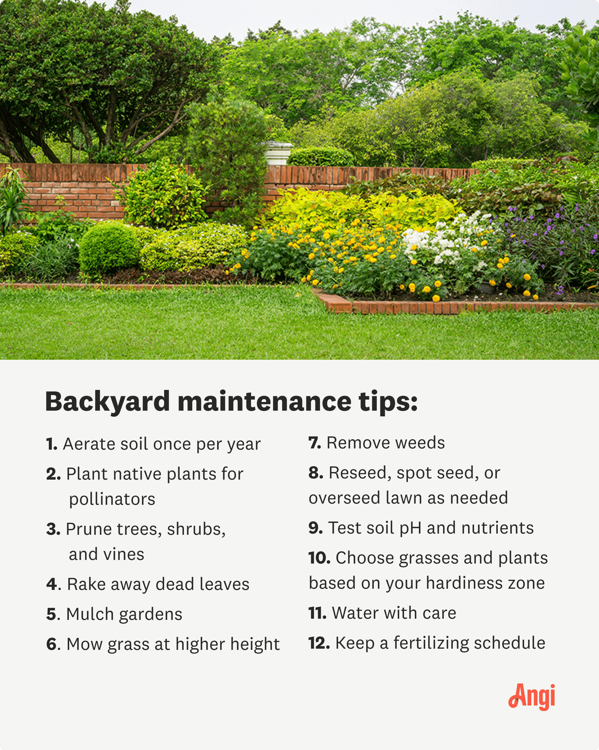 12 backyard maintenance tips, including mowing grass at higher height and removing weeds