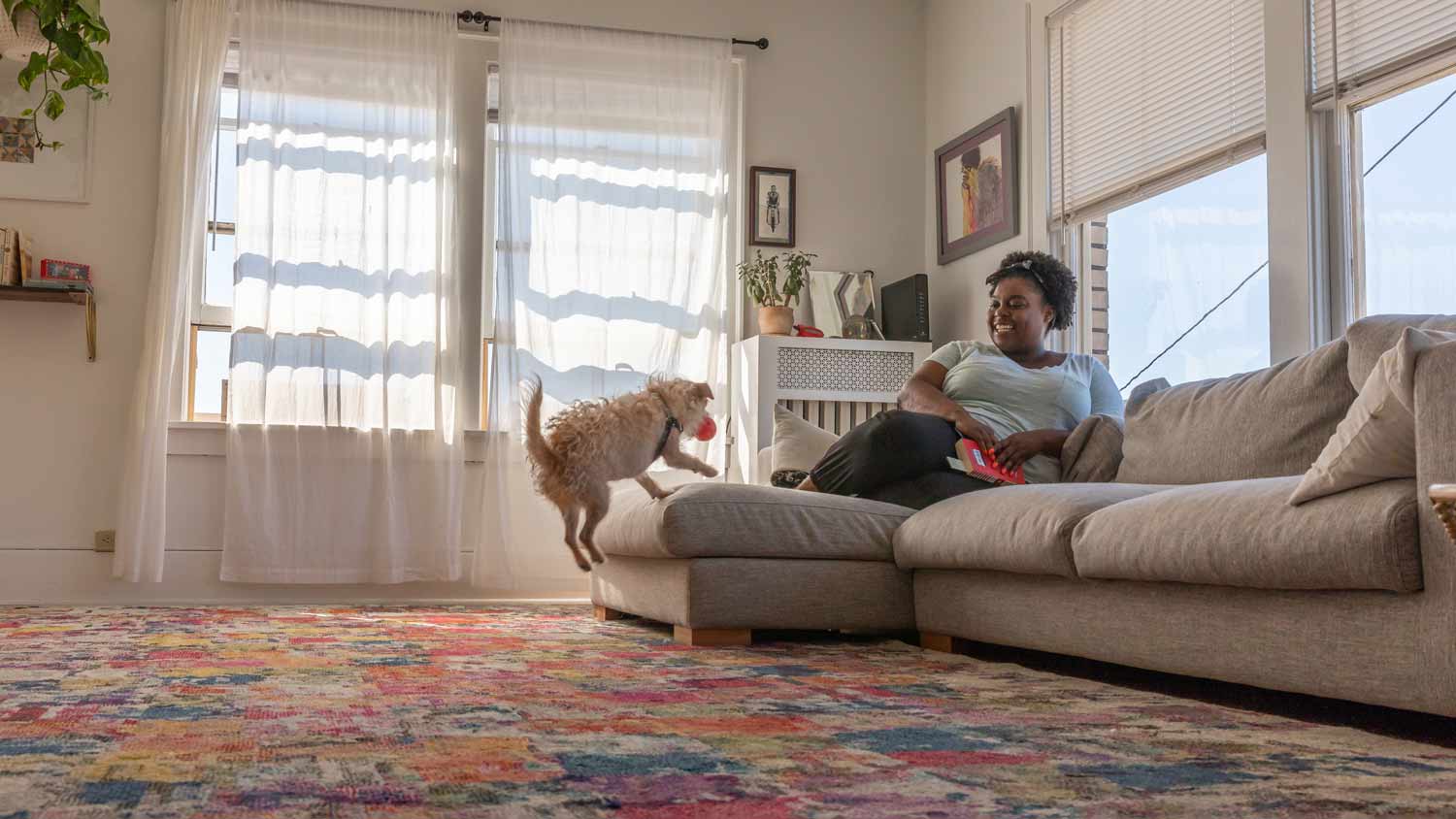 woman playing with dog on carpet