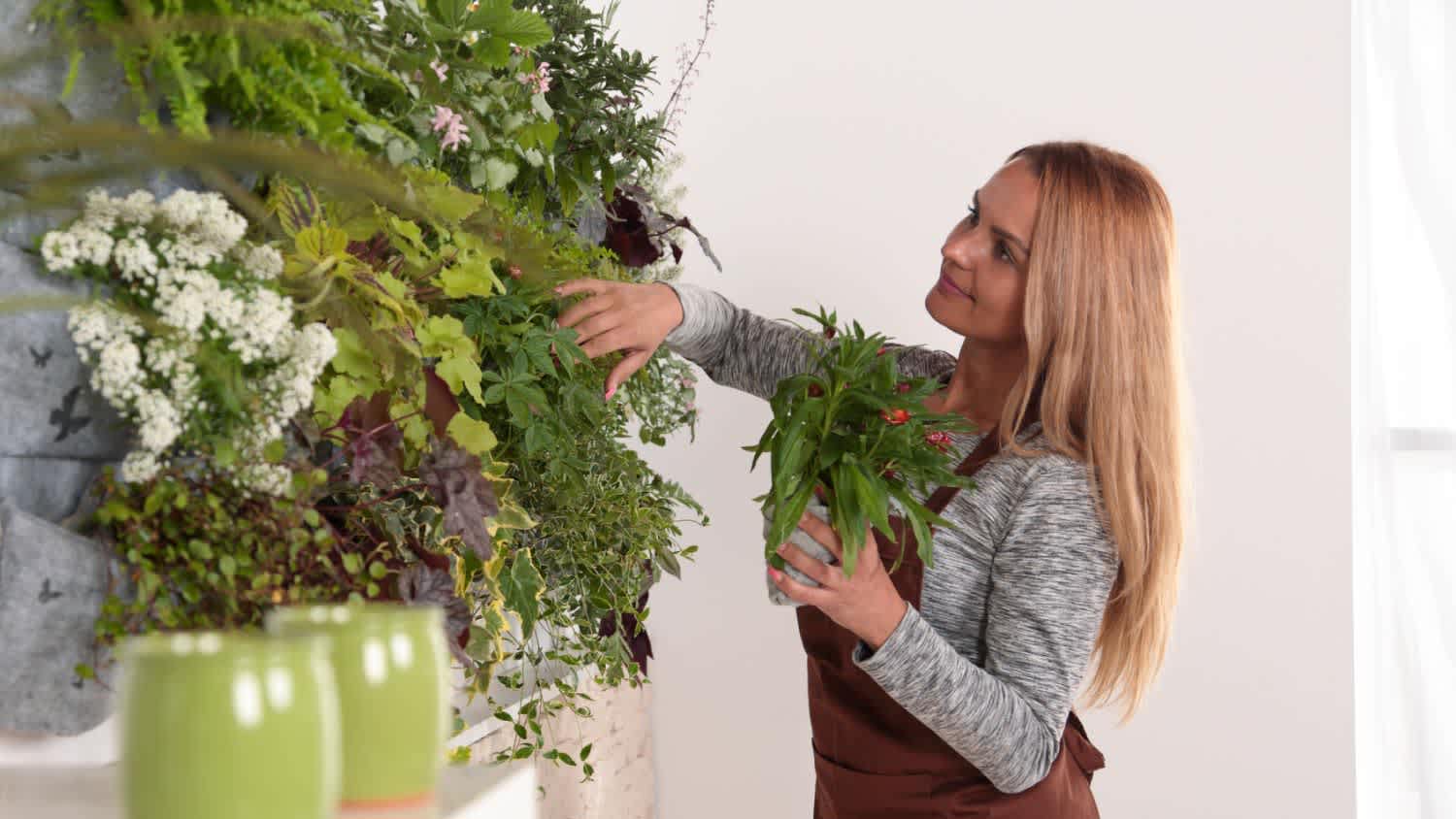 Woman arranging her green wall