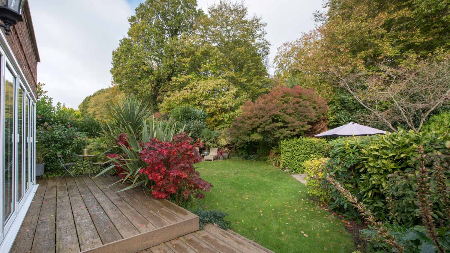 Decking patio surrounded with trees