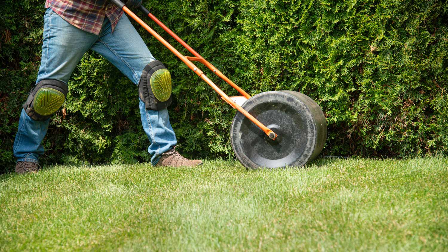 Installing turf rolls in the garden