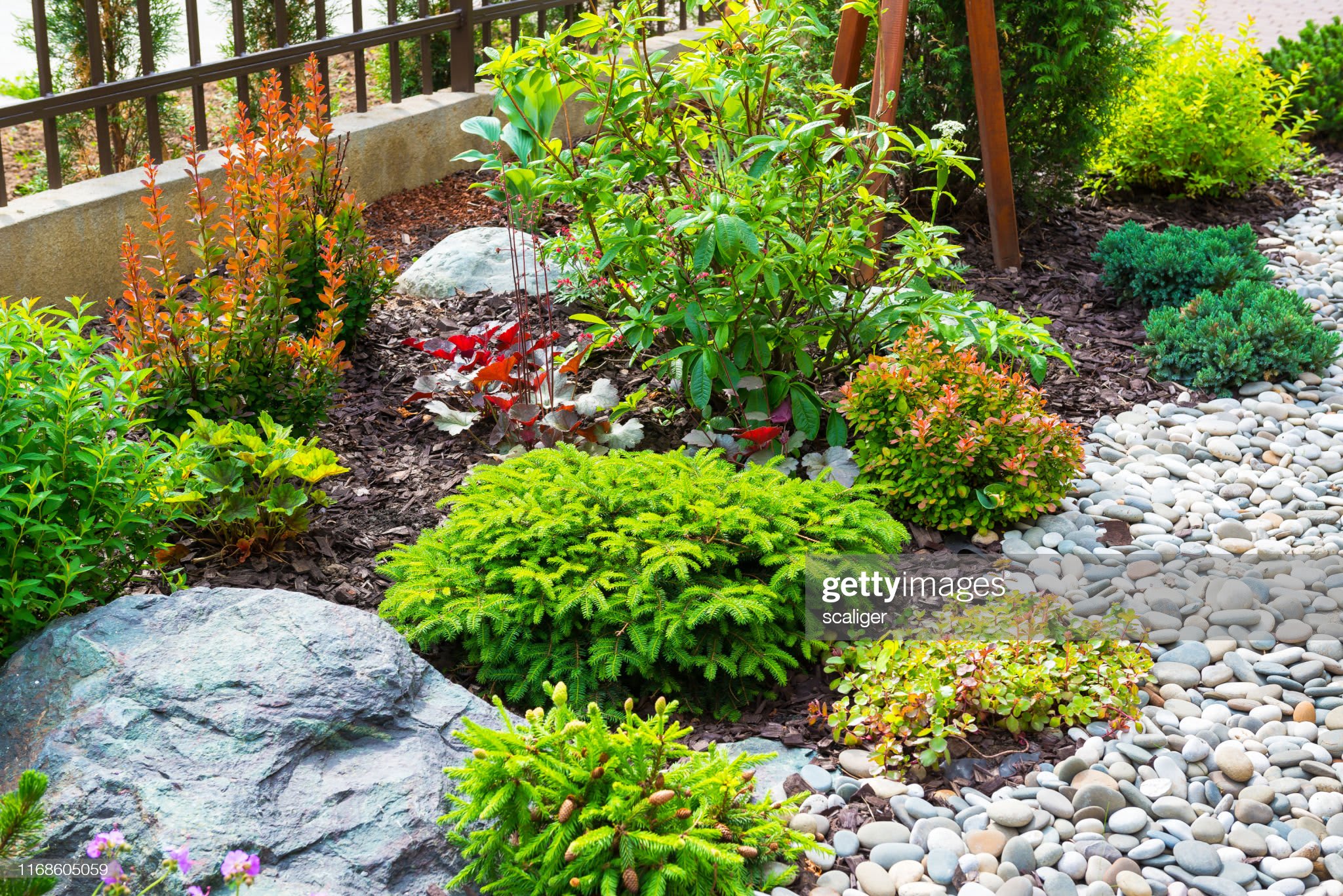 A landscaped backyard with flowers and pebbles
