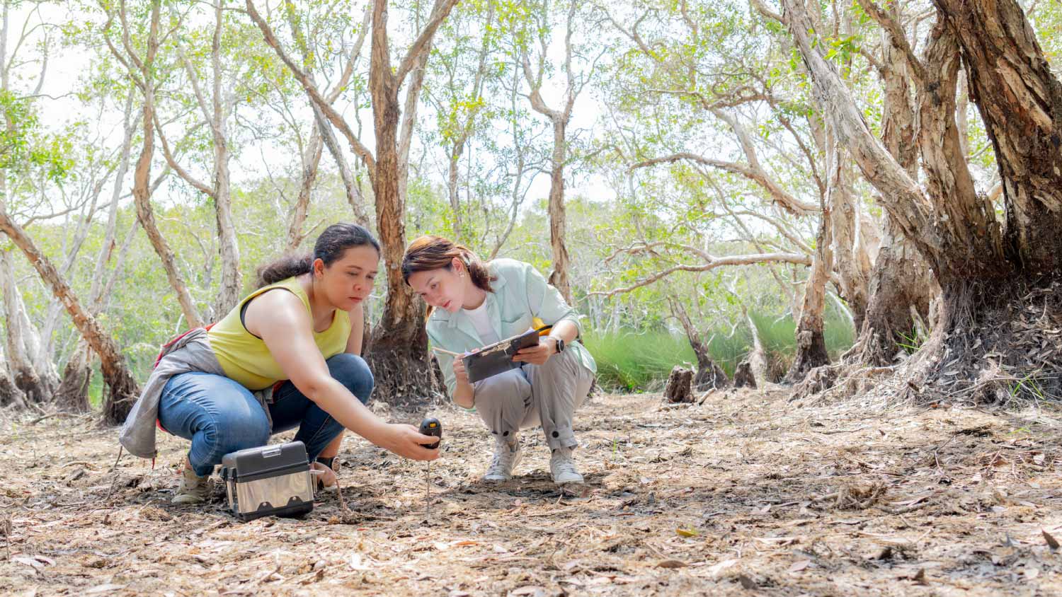 Women checking soil sample