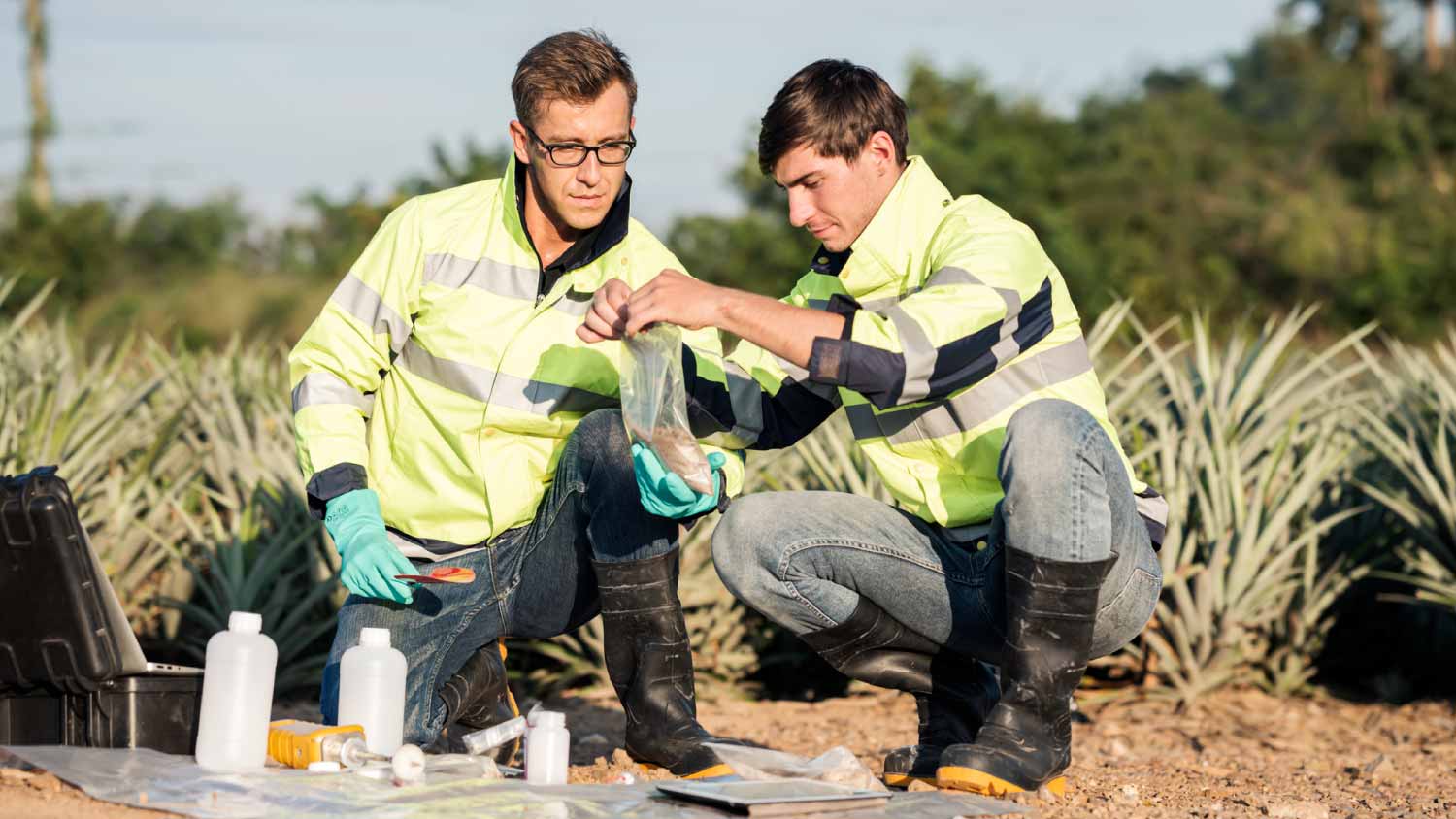 Workers taking soil samples