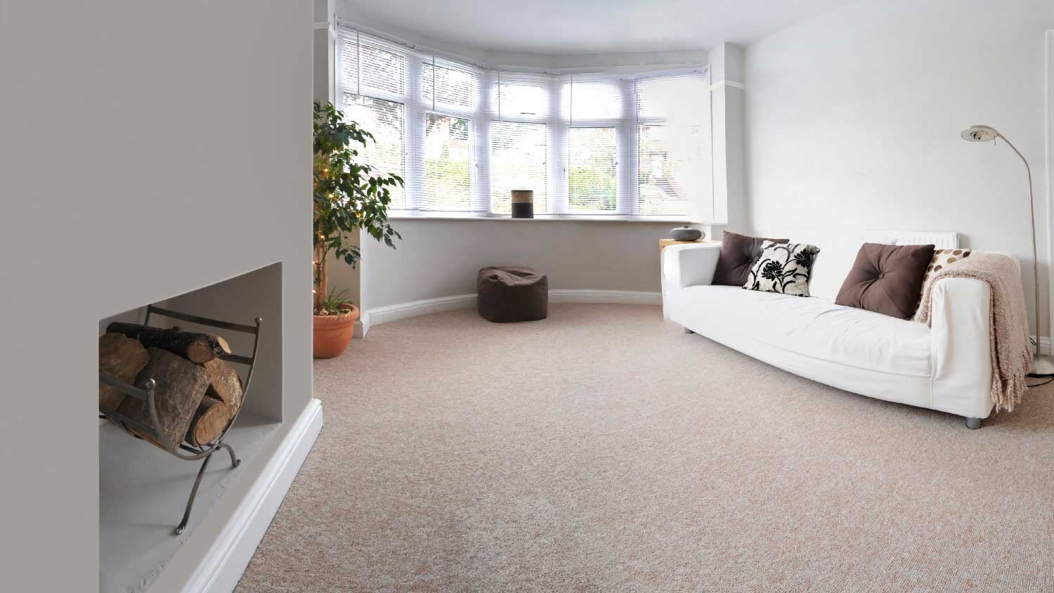A carpeted living room