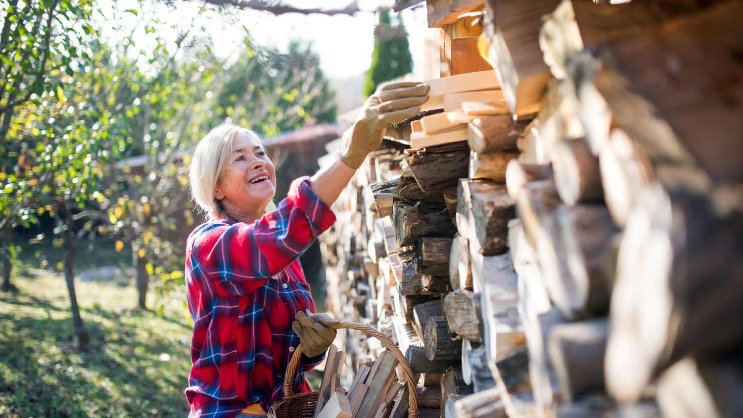 Woman stacking firewood in autumn