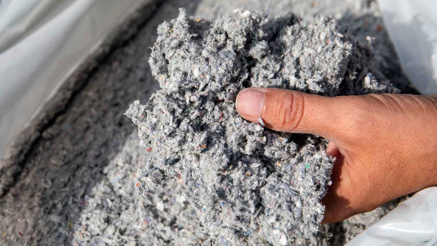 Hand holding cellulose insulation