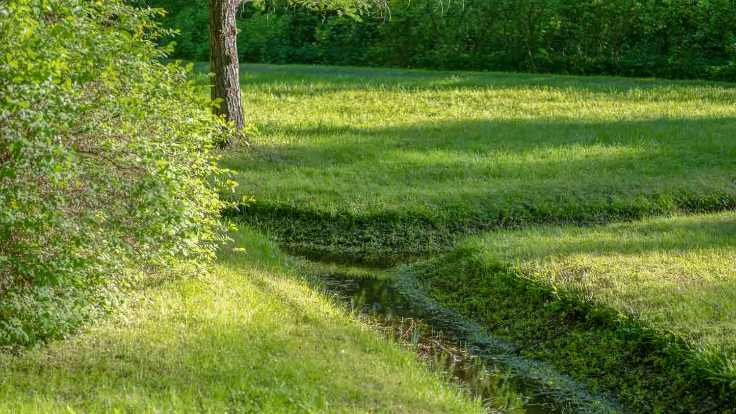 drainage ditch in yard