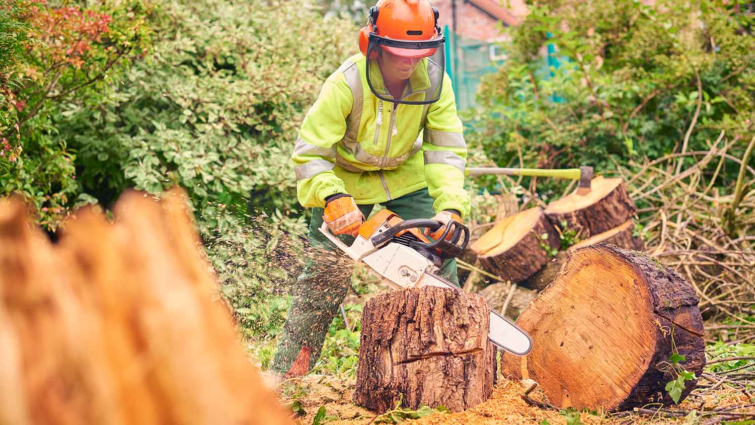 Female arborist using chainsaw to cut a fallen tree