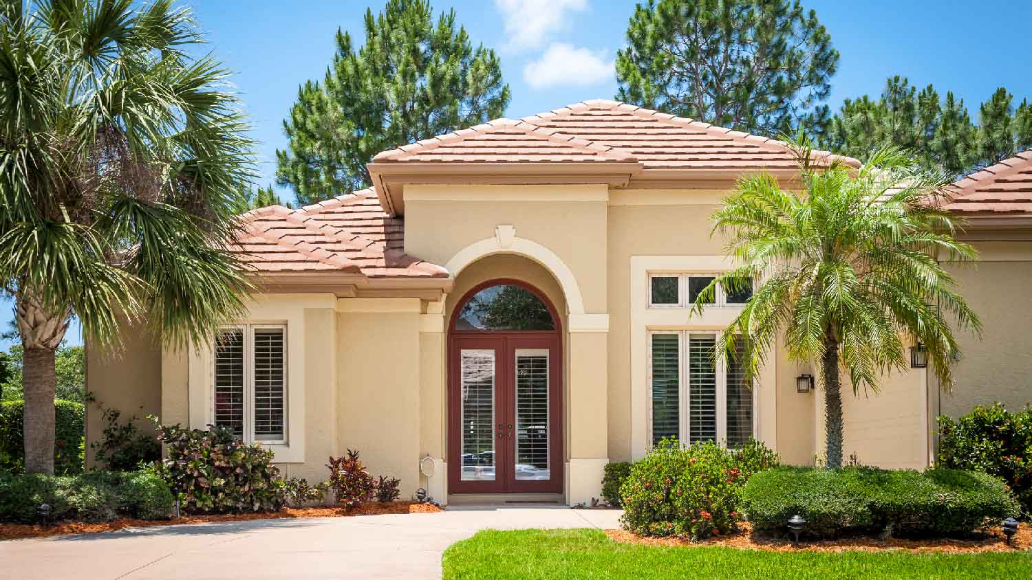 A house with palm trees in its front yard