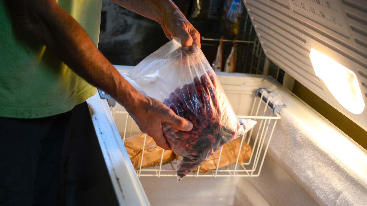 A man taking fruit out of a deep freezer