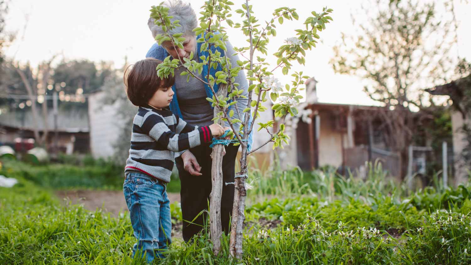 Grandmother with her grandson gardening